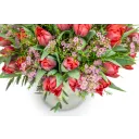 Bouquet of premium tulips